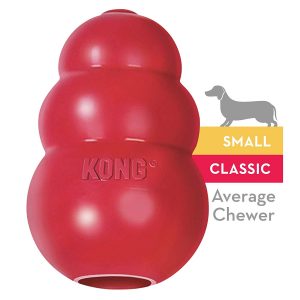 Kong Toy- Teething toy for french bulldog