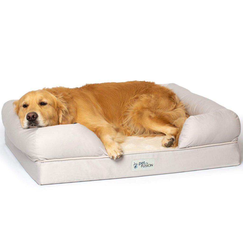 The 5 Best Dog Beds for French Bulldogs in 2020 - frenchie ...